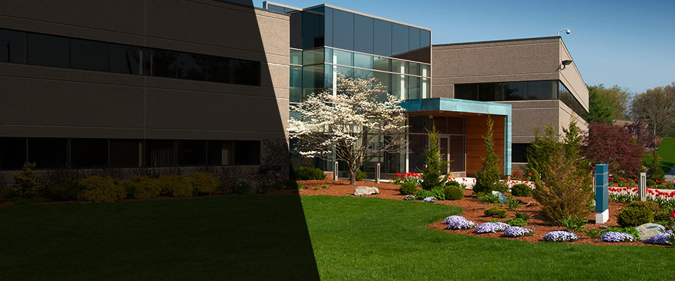 Ravenswood Landscapers