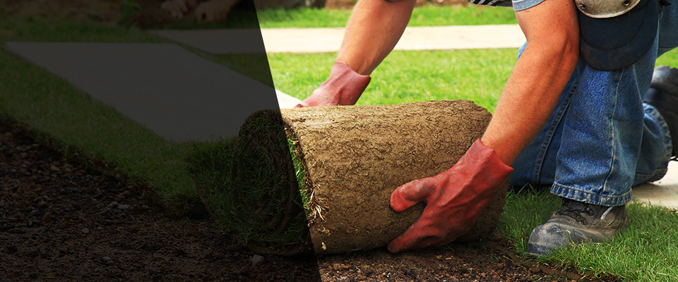 Ravenswood Landscapers